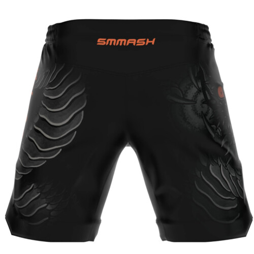 Men's MMA lightweight training shorts PRO SMMASH BUDDHA
